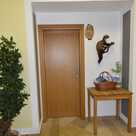 Apartments And Rooms Kod Eli Ravna Gora Ngoại thất bức ảnh