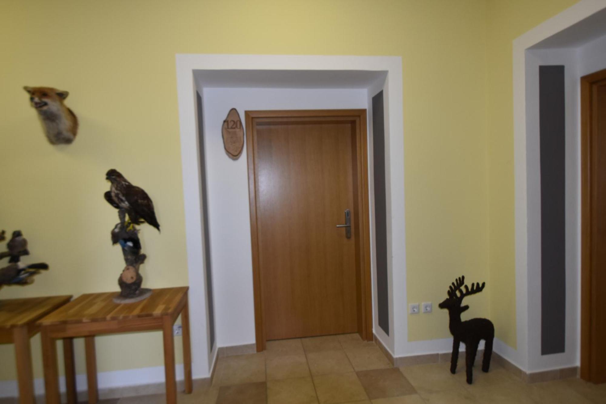 Apartments And Rooms Kod Eli Ravna Gora Ngoại thất bức ảnh